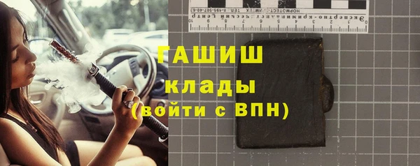 тгк Ельня