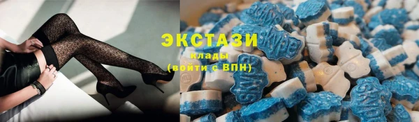 тгк Ельня