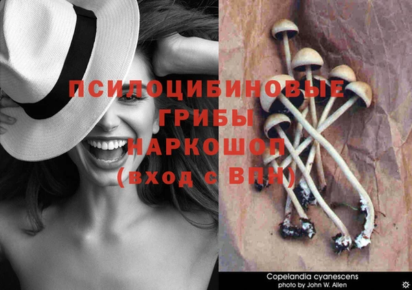тгк Ельня