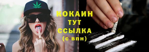 дживик Елабуга