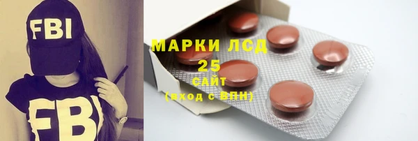 тгк Ельня