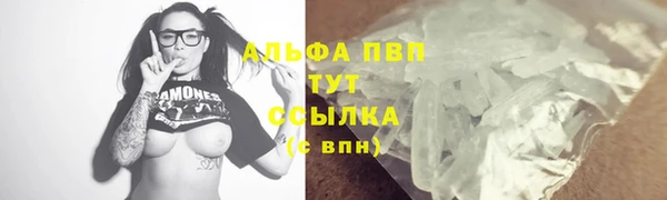 тгк Ельня