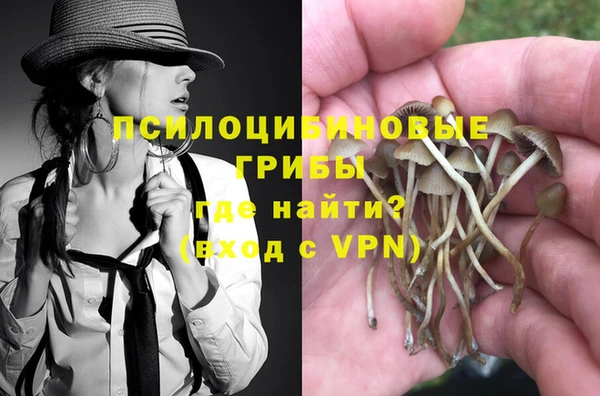 дживик Елабуга