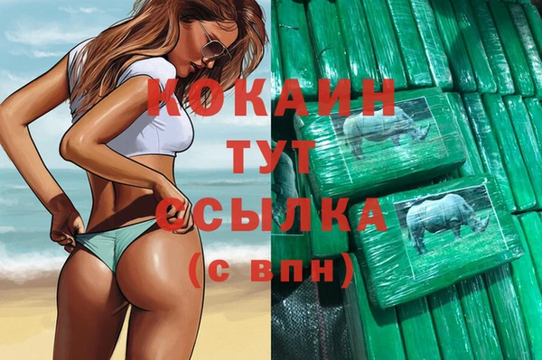 дживик Елабуга