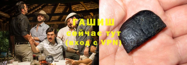 тгк Ельня